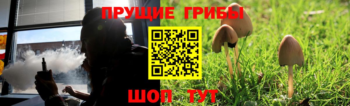 Псилоцибиновые грибы MAGIC MUSHROOMS  Вход с VPN  Псилоцибиновые грибы ЛСД  Егорьевск 